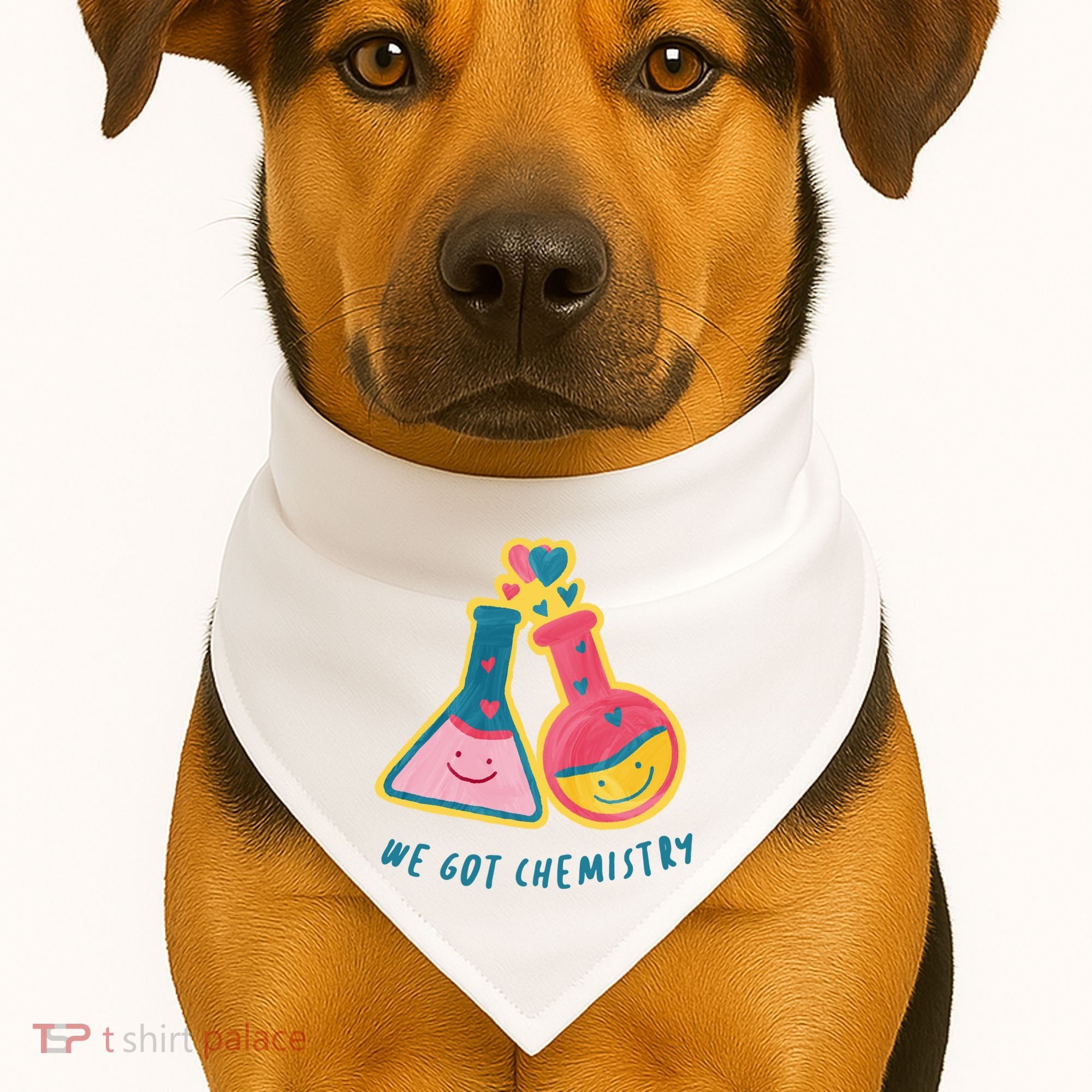 We Got Chemistry Cute Gift USA-Made Doggie Bandana