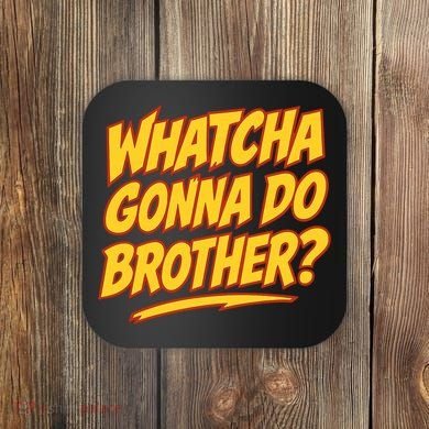 Whatcha Gonna Do Brother Coaster