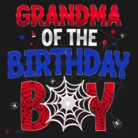 Women Grandma Of The Birthday Boy Matching Spider Web Family T-Shirt thumb 7