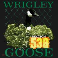 Wrigley Goose Section 538  Polo thumb 3