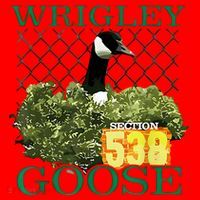 Wrigley Goose Section 538  Santa Hat thumb 1