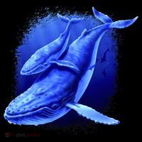Whale Song of the Deep Bucket Hat thumb 4