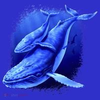 Whale Song of the Deep Toddler T-Shirt thumb 4