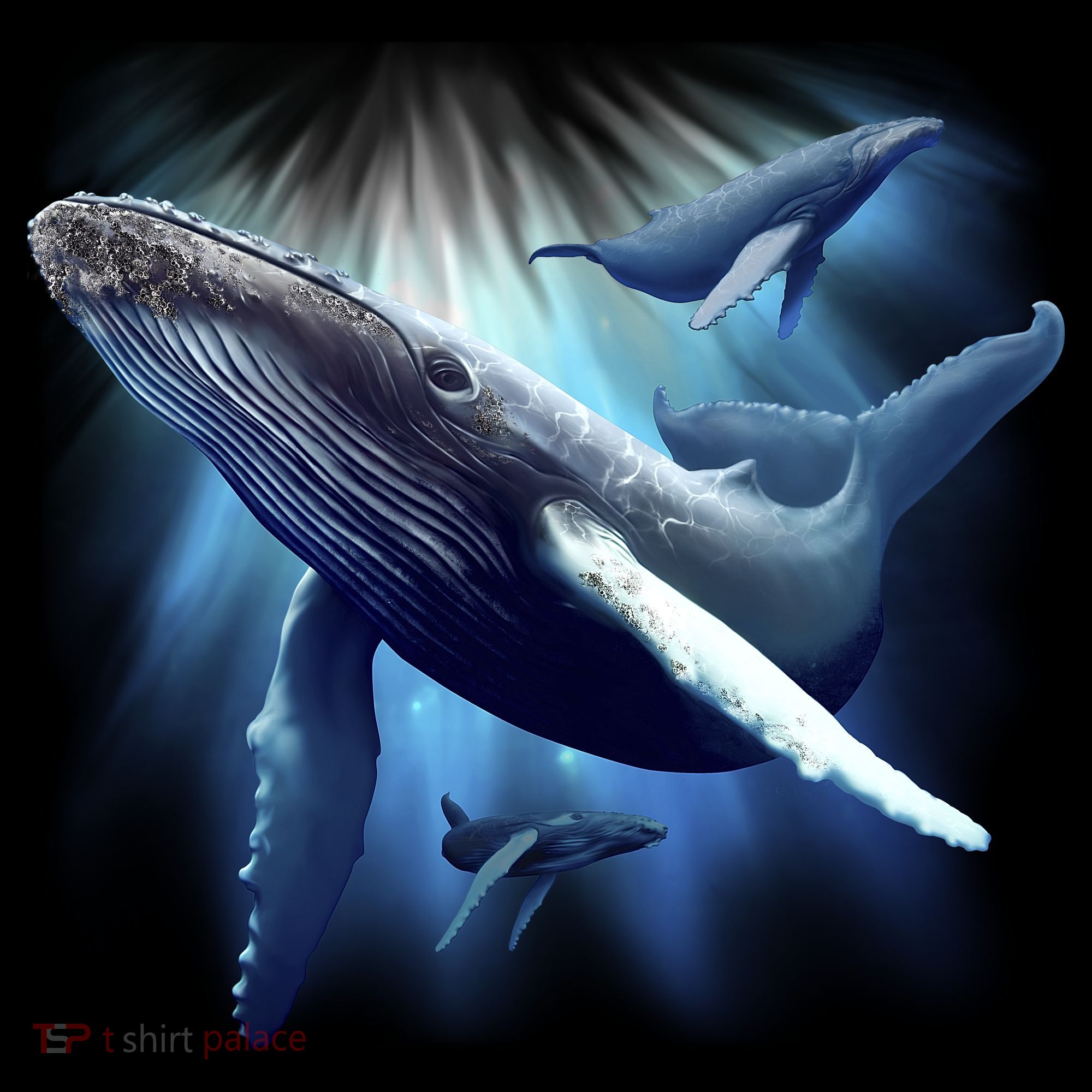Whales Backpack