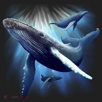 Whales Hat thumb 2