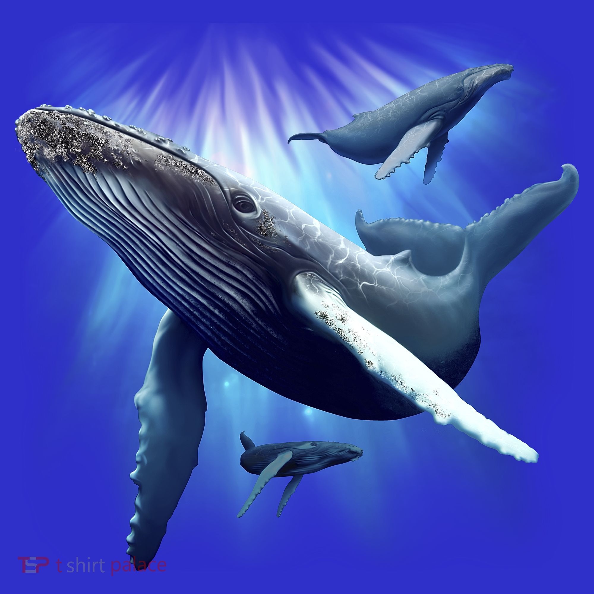 Whales Hoodie