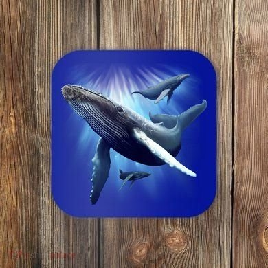 Whales Coaster