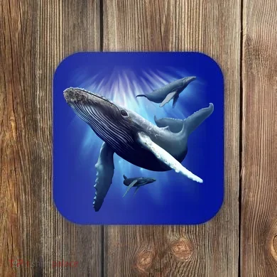 Whales Coaster