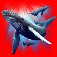 Whales Santa Hat thumb 1