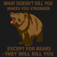 What Doesn't Kill You Makes You Stronger Except For Bears USA-Made Doggie Bandana thumb 2