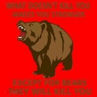 What Doesn't Kill You Makes You Stronger Except For Bears Santa Hat thumb 1