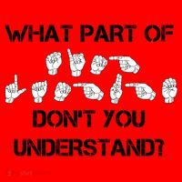 What Part Of Silent Language Don't You Understand Santa Hat thumb 1