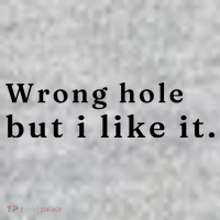 Wrong Hole But I Like It Funny Long Sleeve Shirt thumb 2