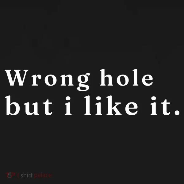 Wrong Hole But I Like It Funny Bucket Hat