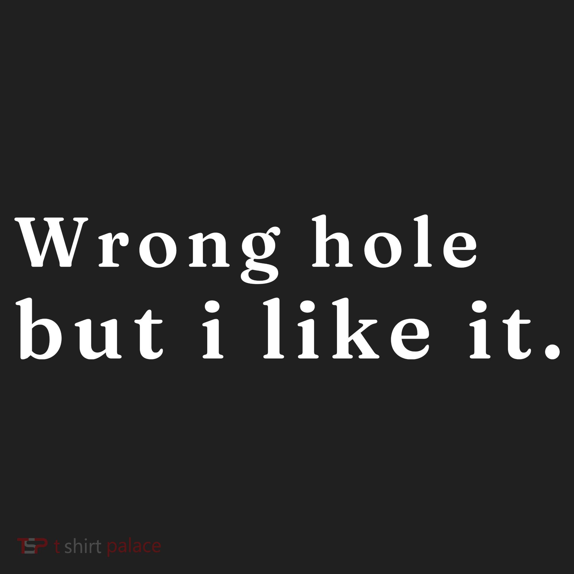 Wrong Hole But I Like It Funny Tumbler