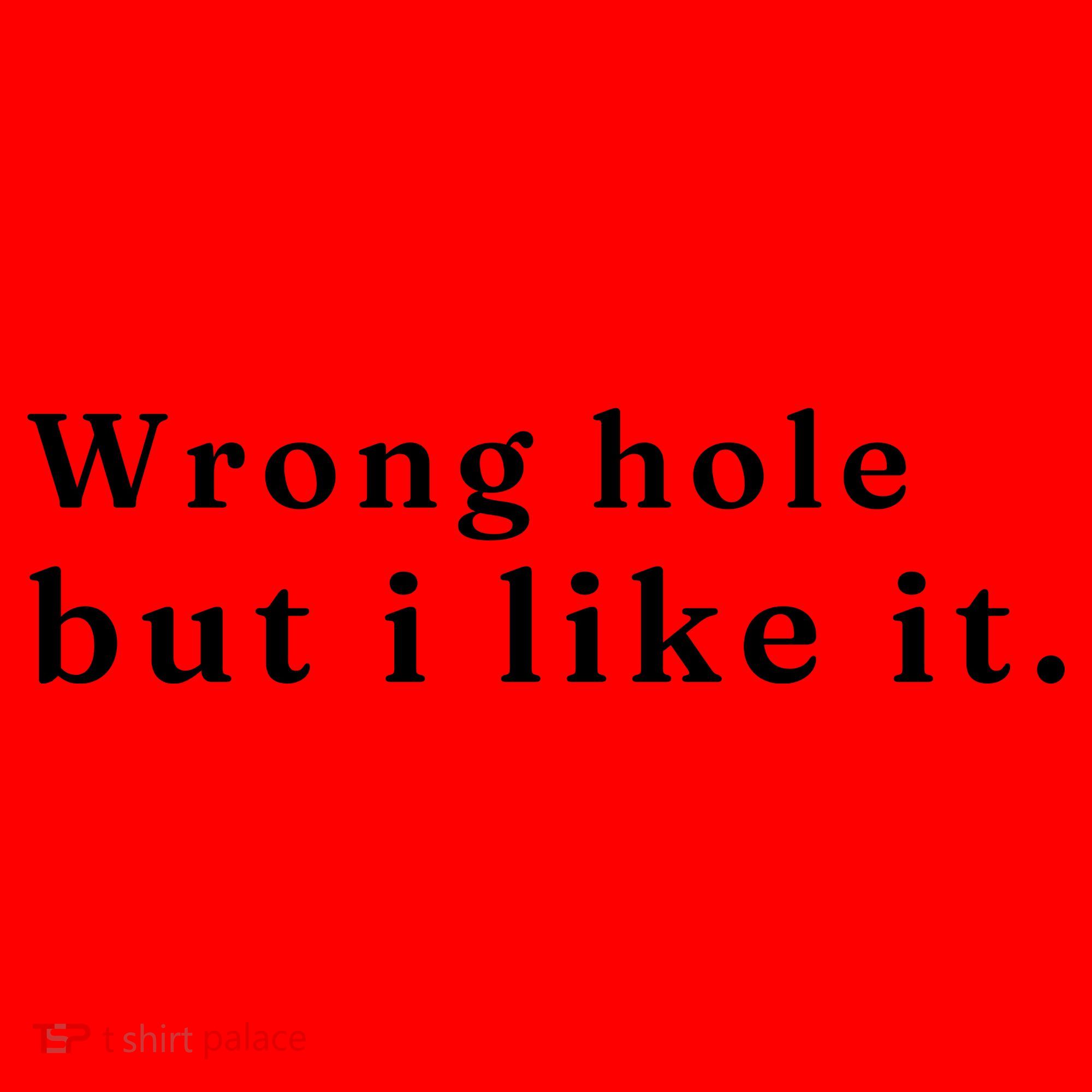 Wrong Hole But I Like It Funny Santa Hat