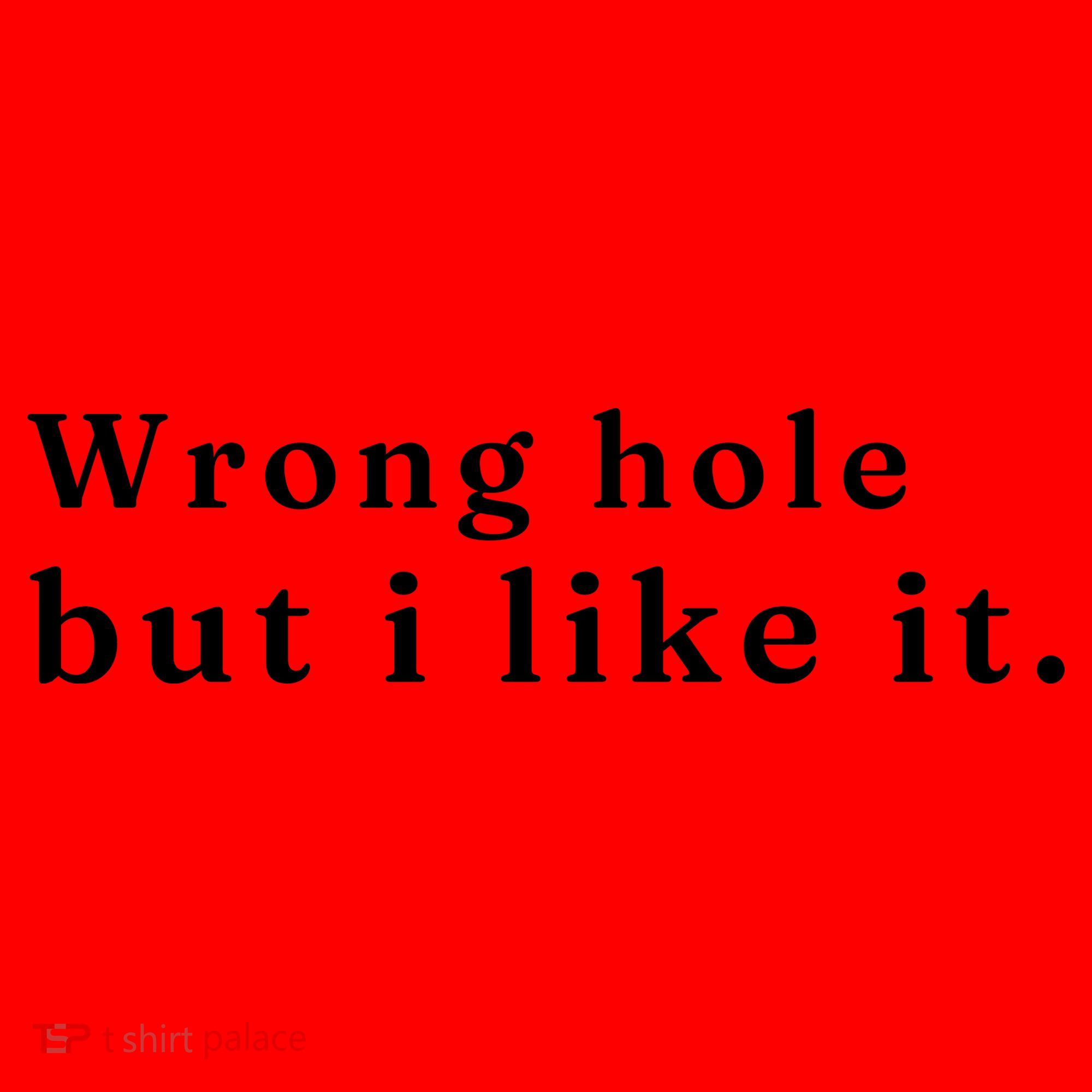 Wrong Hole But I Like It Funny Sayings Adult Humor Santa Hat