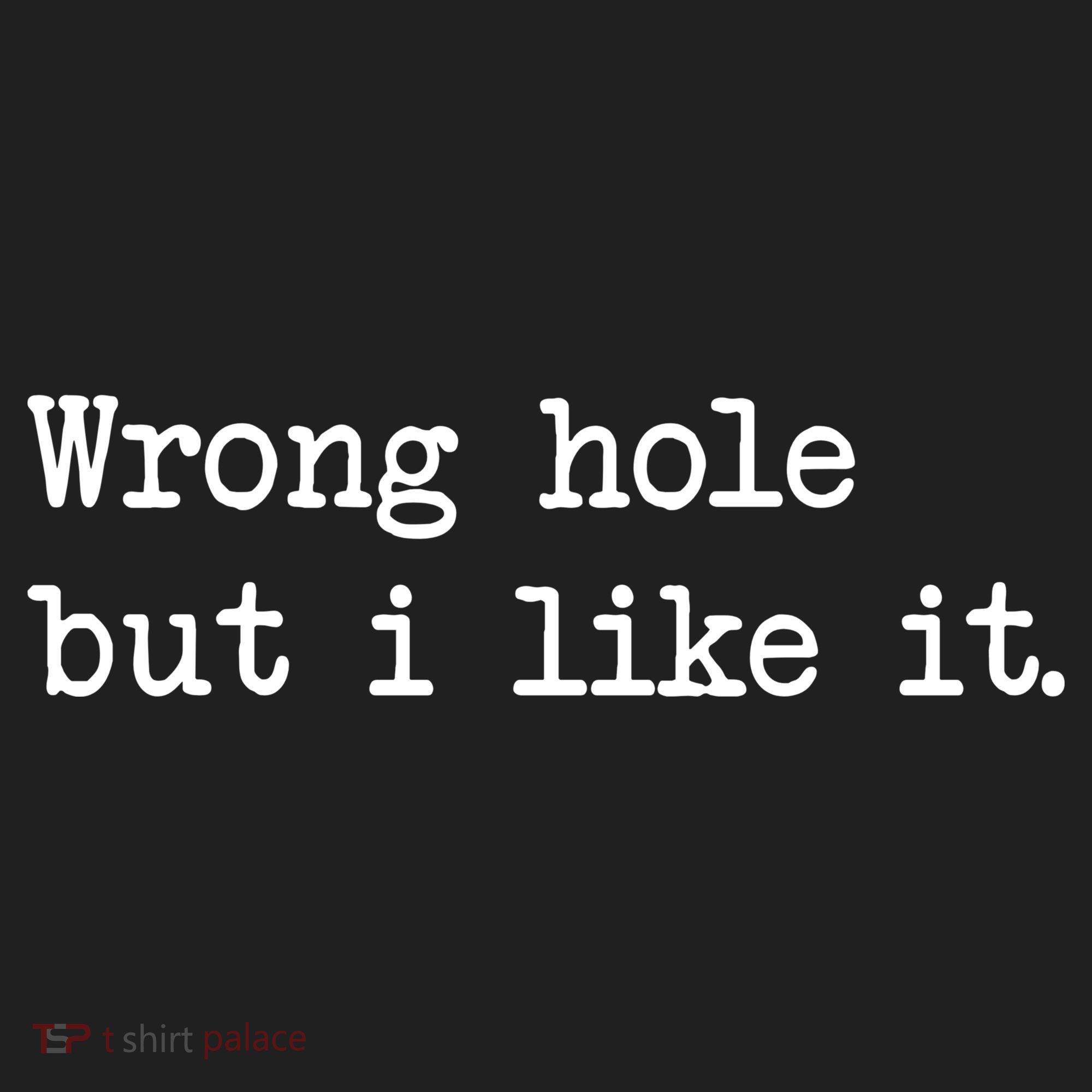 Wrong Hole But I Like It Funny Sayings Adult Humor Beanie