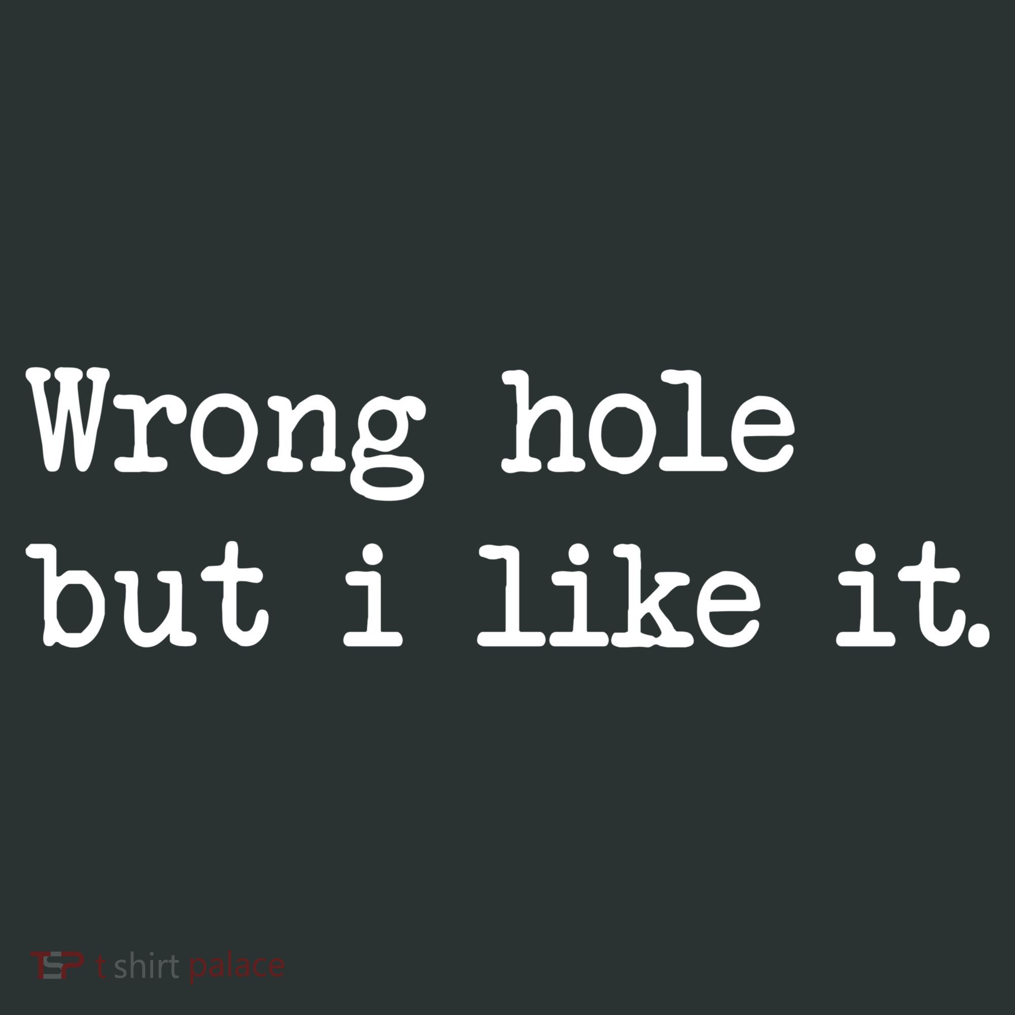 Wrong Hole But I Like It Funny Sayings Adult Humor Hoodie