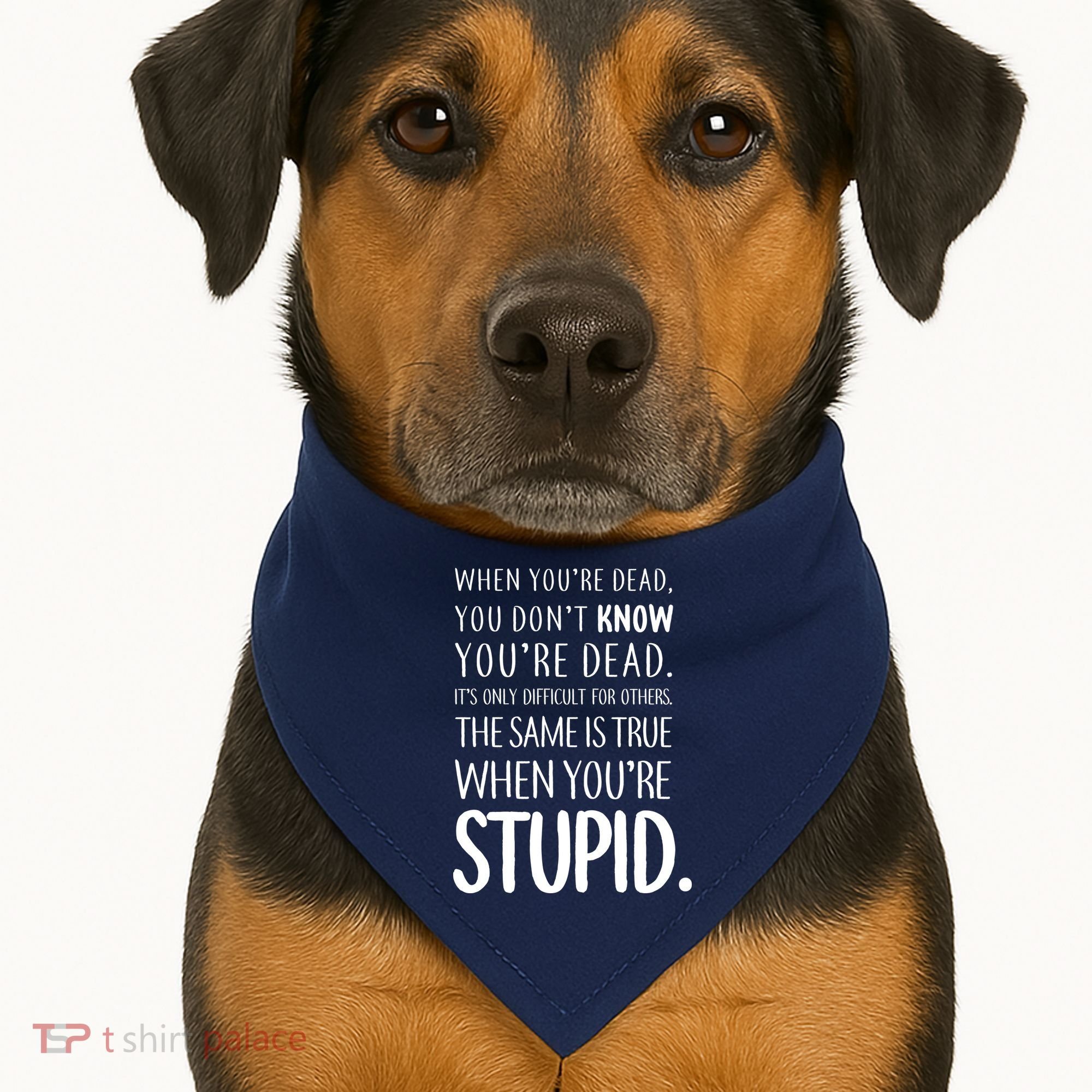 When You're Stupid Funny Statement USA-Made Doggie Bandana