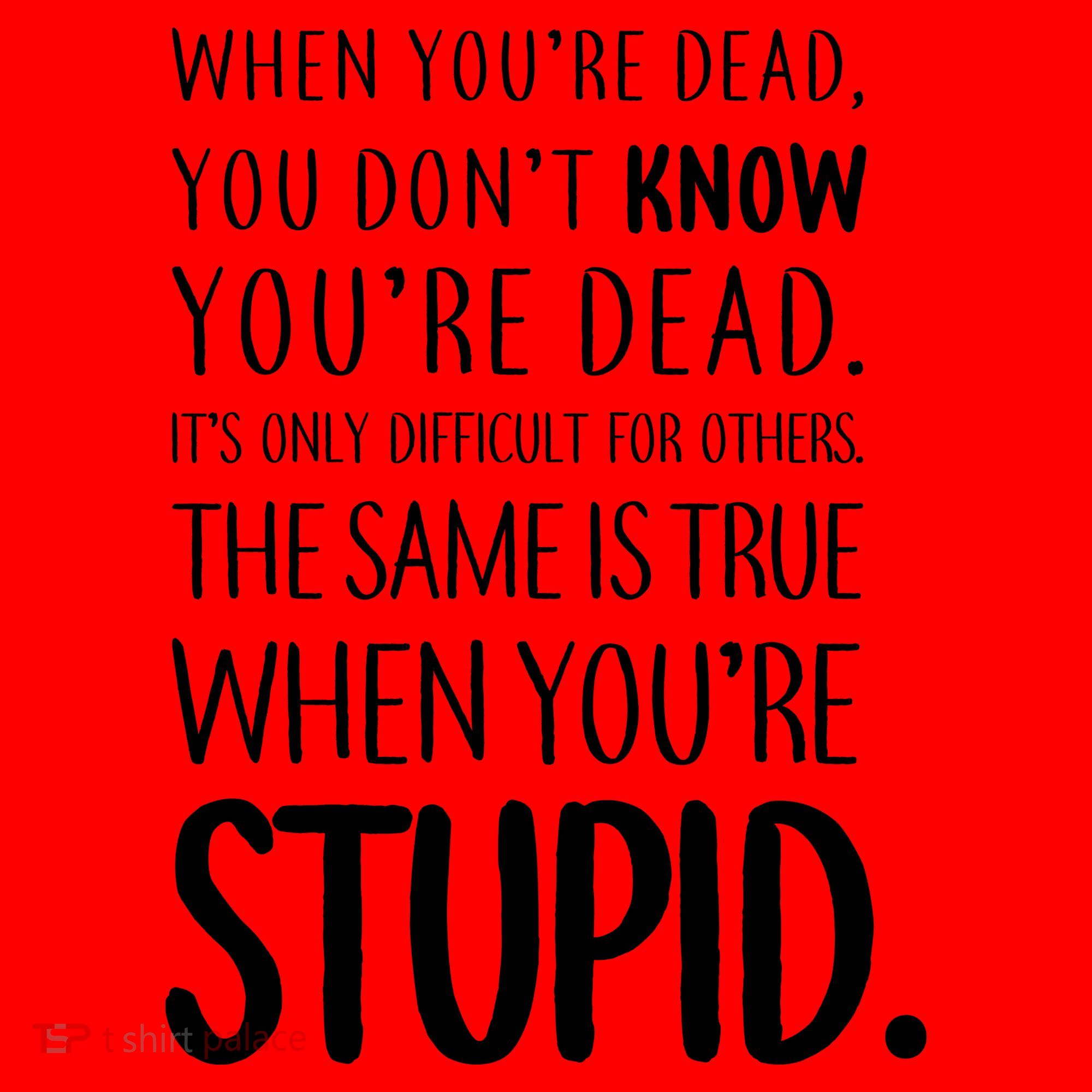 When You're Stupid Funny Statement Santa Hat
