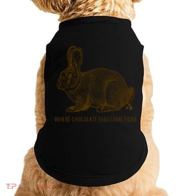 Where Chocolate Eggs Come From Doggie Tank