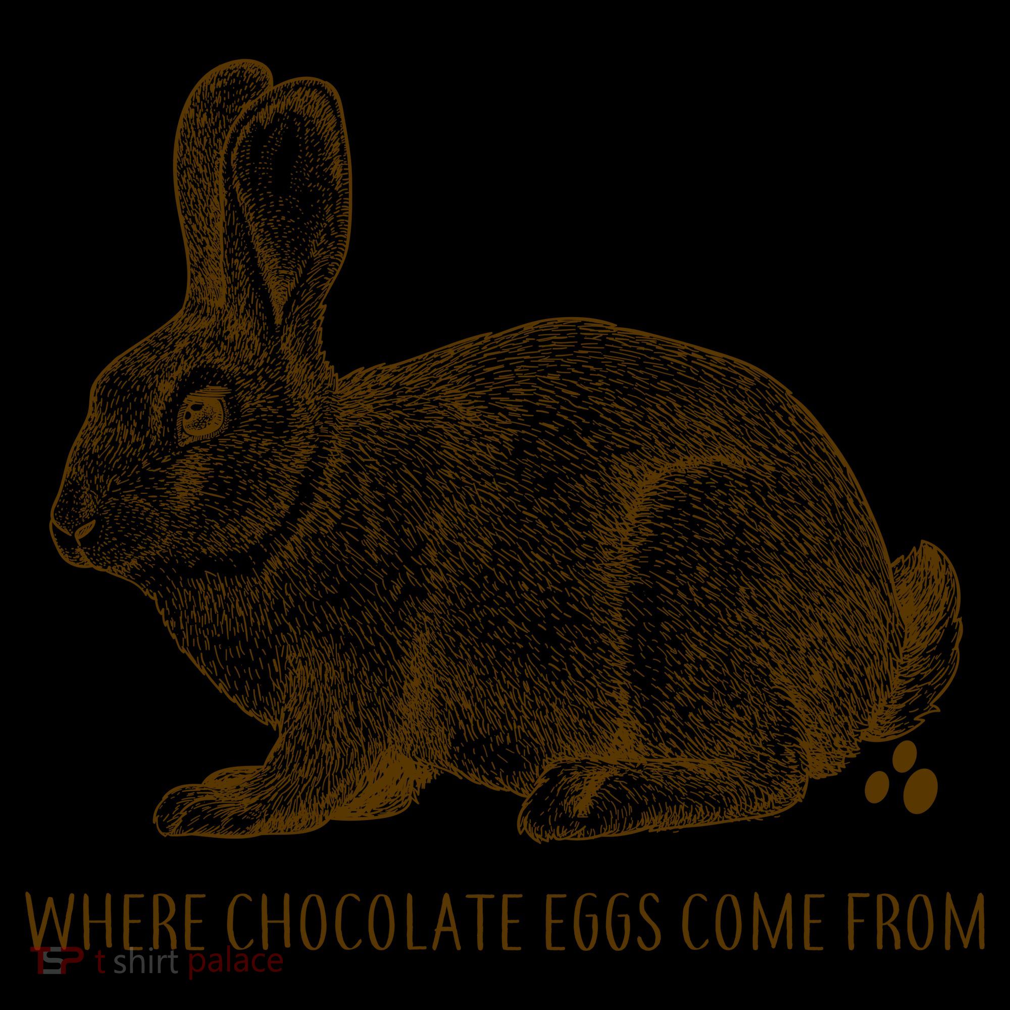 Where Chocolate Eggs Come From Sweatshirt