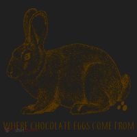 Where Chocolate Eggs Come From Beanie thumb 2
