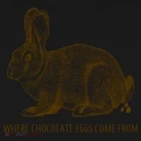 Where Chocolate Eggs Come From Polo thumb 3