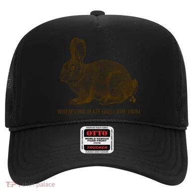 Where Chocolate Eggs Come From Hat