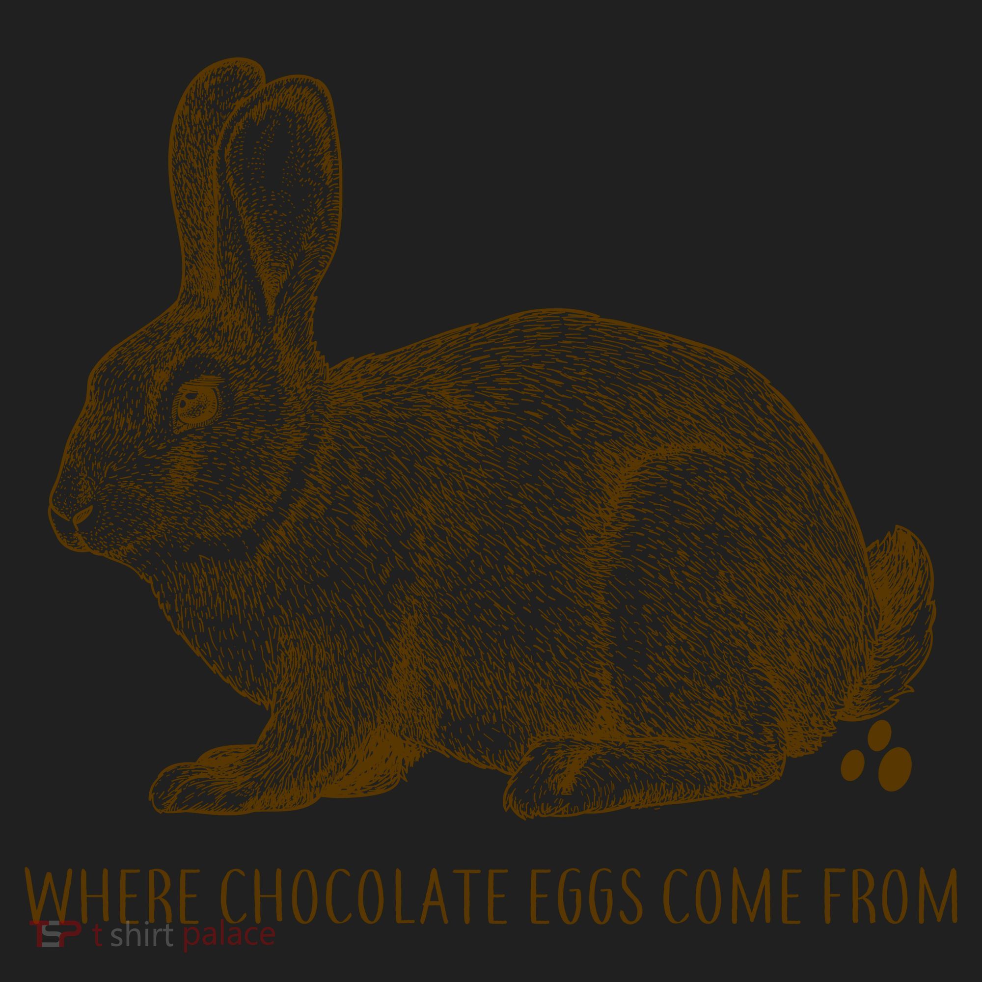 Where Chocolate Eggs Come From Hat