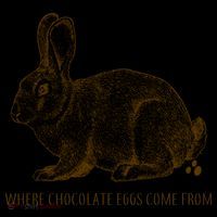 Where Chocolate Eggs Come From Tank Top thumb 6