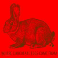 Where Chocolate Eggs Come From Santa Hat thumb 1