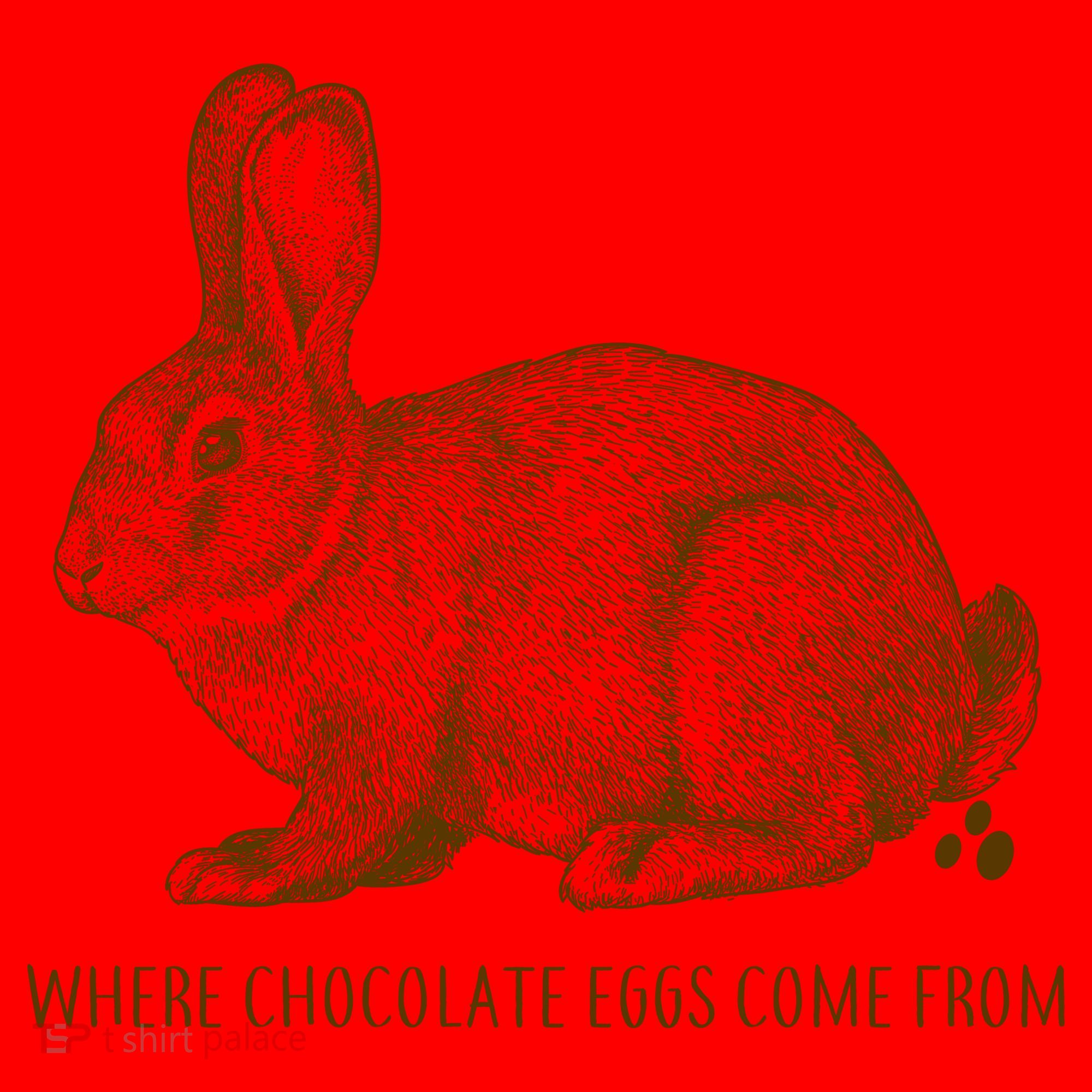 Where Chocolate Eggs Come From Santa Hat