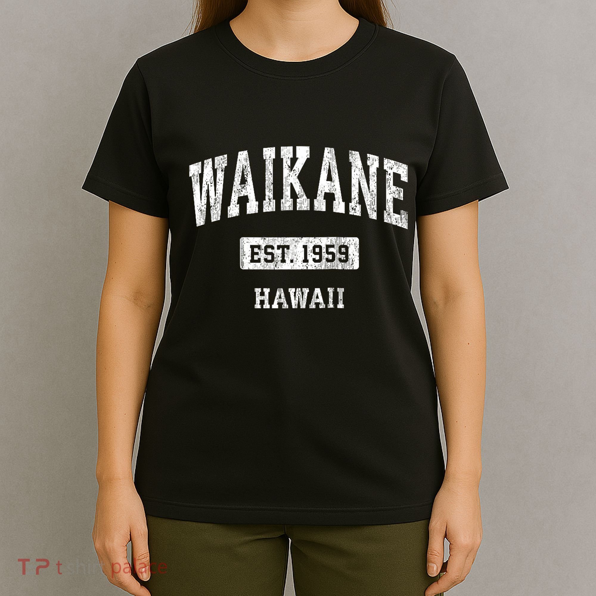 Waikane Hawaii Hi Vintage Sports Established T-Shirt