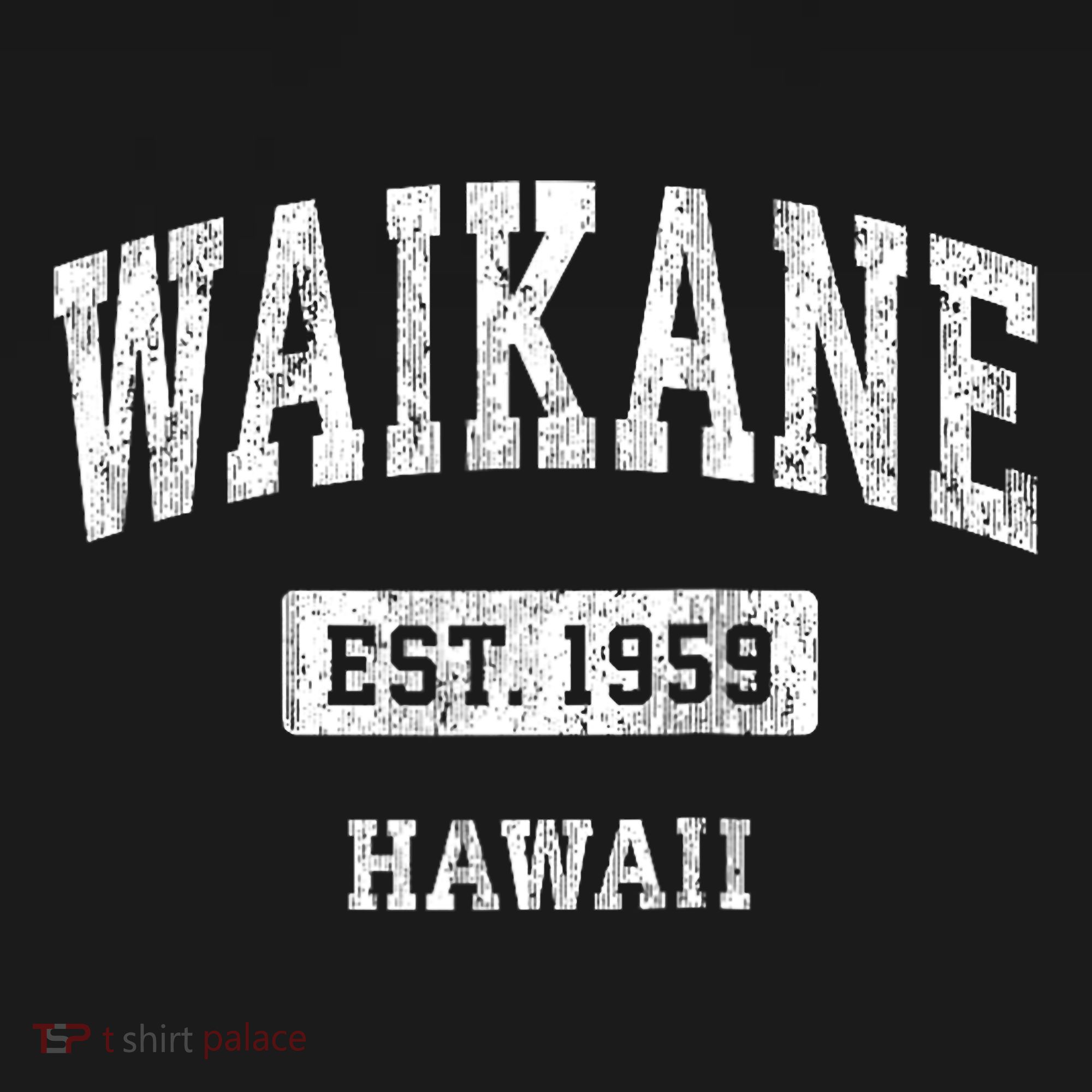 Waikane Hawaii Hi Vintage Sports Established T-Shirt