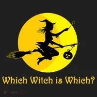 Which Witch is Which? Funny Halloween Tumbler thumb 3