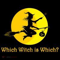 Which Witch is Which? Funny Halloween Women's T-Shirt thumb 6