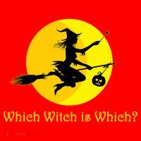 Which Witch is Which? Funny Halloween Santa Hat thumb 1