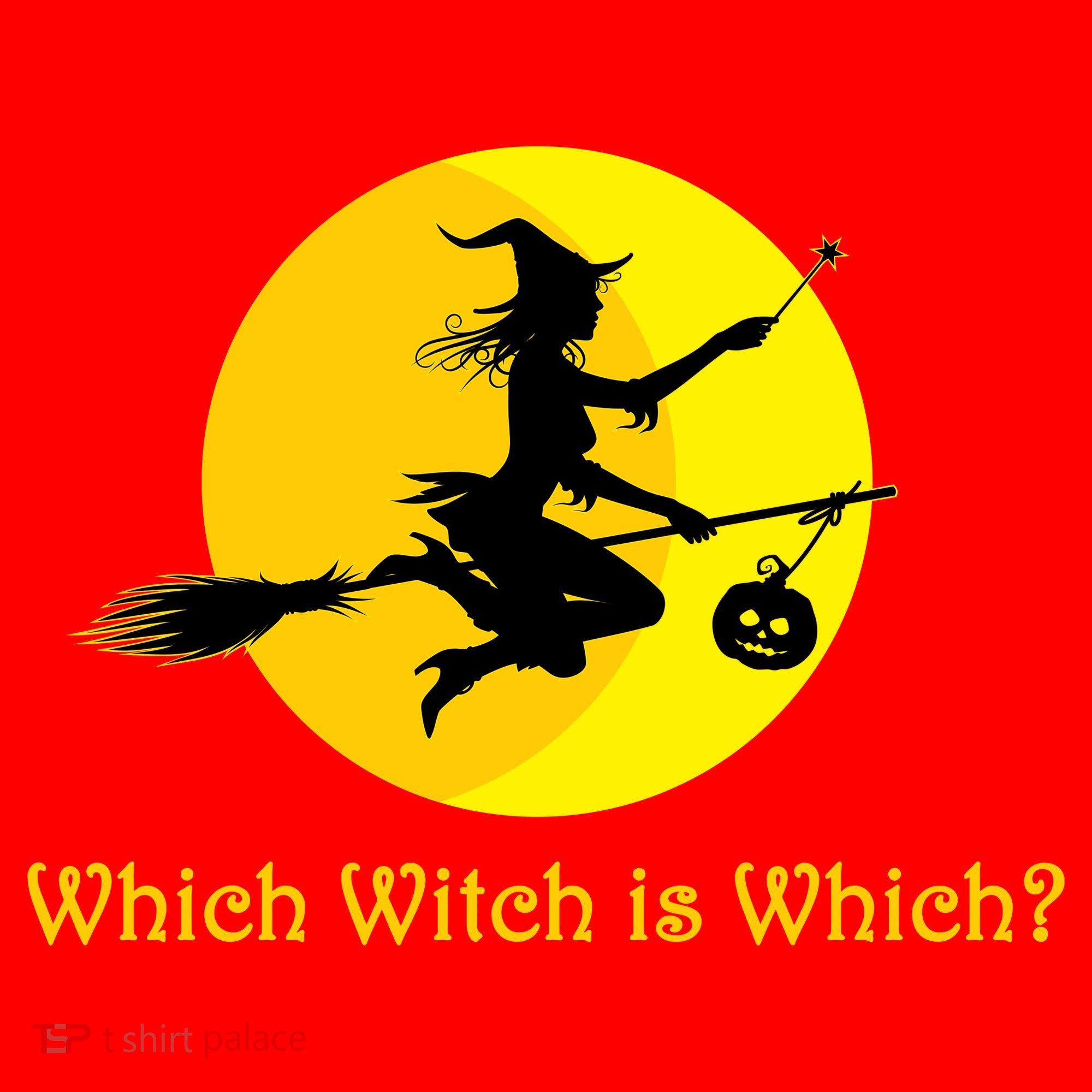 Which Witch is Which? Funny Halloween Santa Hat