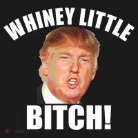 Whiney Little Bitch! Trump Hillary For President Ornament thumb 1