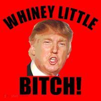 Whiney Little Bitch! Trump Hillary For President Santa Hat thumb 1
