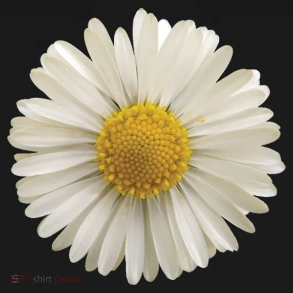 White Daisy T-Shirt