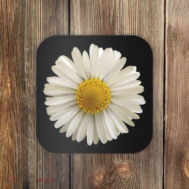 White Daisy Coaster