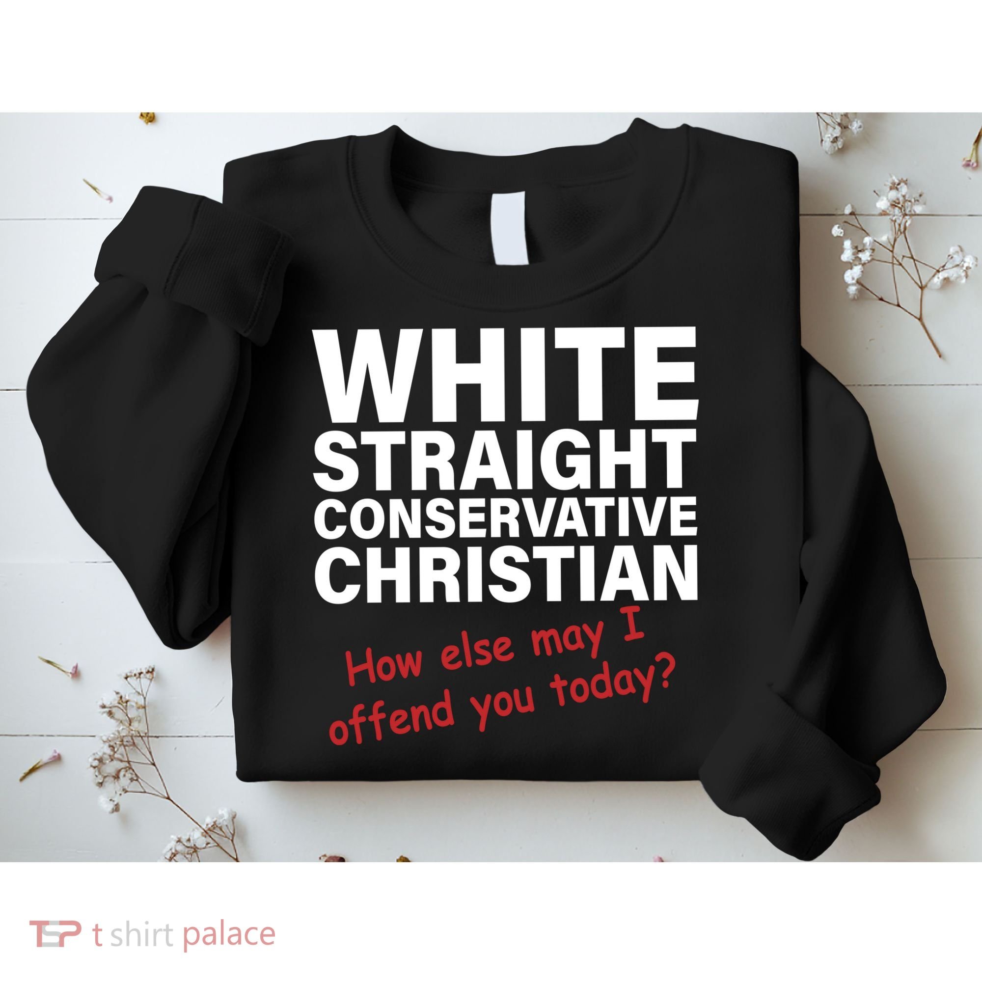 White Straight Conservative Christian Sweatshirt