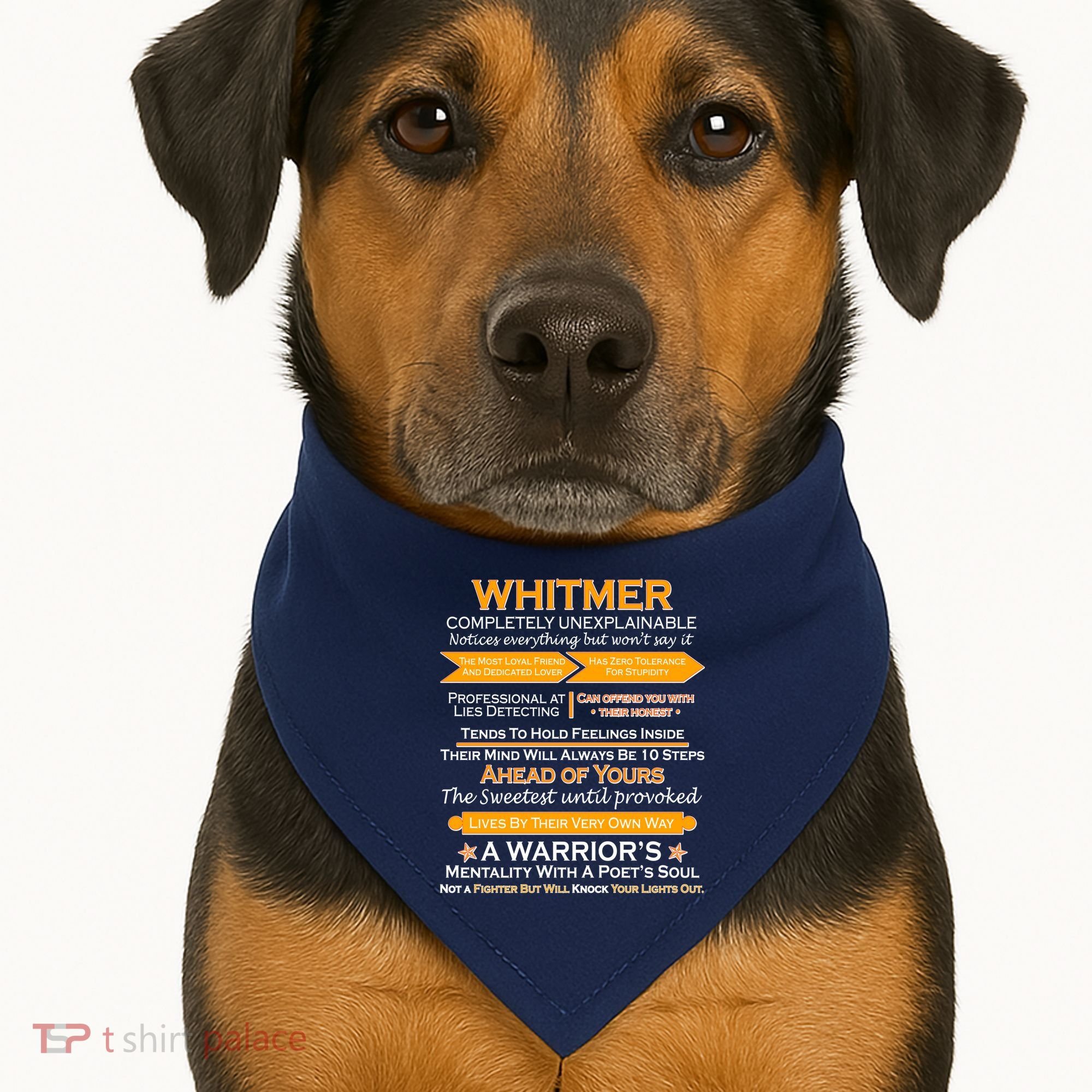 Whitmer Completely Unexplainable USA-Made Doggie Bandana