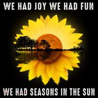 We Had Joy We Had Fun We Had Seasons In The Sun Cute Gift Coffee Mug thumb 5