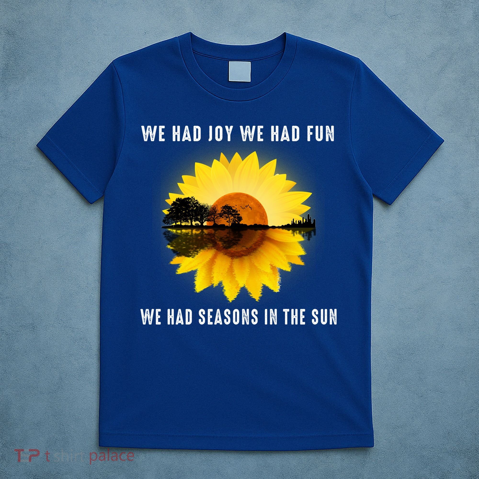 We Had Joy We Had Fun We Had Seasons In The Sun Cute Gift T-Shirt
