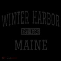 Winter Harbor, Maine Established In 1895 Coffee Mug thumb 5