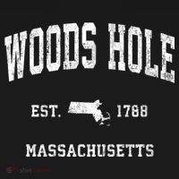 Woods Hole Massachusetts Ma Vintage Athletic Established T-Shirt thumb 7